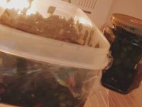 媽媽牌麵攤韭菜辣椒