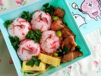 櫻花飯糰x照燒雞塊便當