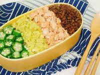 一鍋到底懶人簡易便當～四色丼