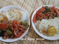 打拋素肉