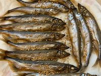 香烤柳葉魚