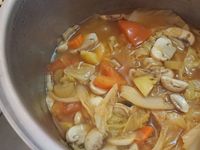 改良年菜羅宋湯（豬肉燉蔬菜）/悶燒鍋料理