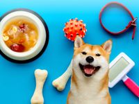 狗狗食譜 銀耳白木耳桂圓紅棗