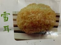 雪耳