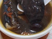 燉鰻湯