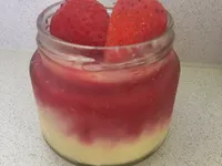 簡單～蔓越莓芒果冰淇淋