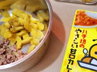 寶寶副食：寶寶咖哩