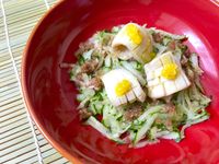 小黃瓜杏飽菇刺身脆片(蔬食)
