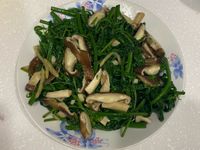 炒過貓