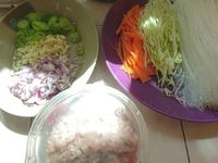 夏日輕食 - 酥脆炸春捲