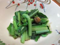 樹子山蘇