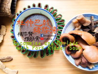 湯水篇｜杜仲巴戟豬腰湯 補腰腎 附影片