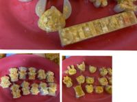 寵物鮮食果凍