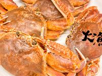 螃蟹在料理前的準備