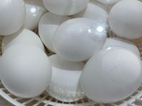 藍家小館-分享煮水蛋小秘訣
