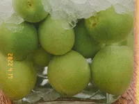 梅酒