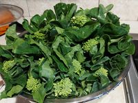 白花芥蘭酸菜