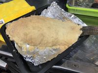 氣炸鍋鹽烤魚