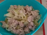 高麗菜紅洋蔥豬肉