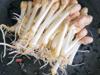 甜脆花生芽