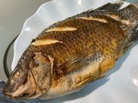 香煎吳郭魚