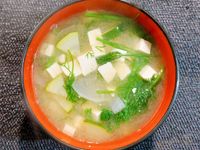 茴香味噌湯(五辛素)