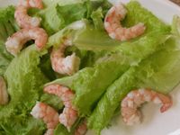 牧草白蝦生菜沙拉