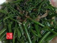 炒過貓
