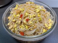 ~涼拌黃豆芽~