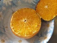 《氣炸系列》鹽烤橘子