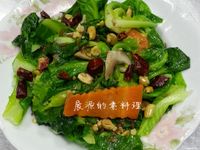 宮保高麗菜苗