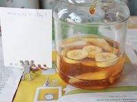 天然酵母液