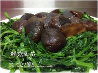 鮮菇豆苗