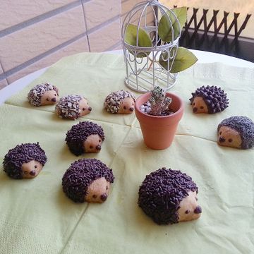 甜甜一起做了甜蜜刺蝟巧克力餅乾【烘焙展食譜募集】