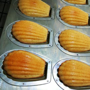 小白貓一起做了【影片】檸檬貝殼蛋糕（又名瑪德蓮蛋糕）