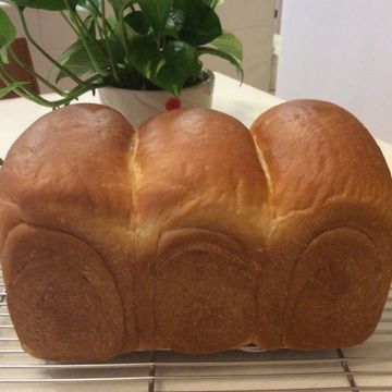 Pigleg Huang一起做了金牌小吐司(不帶蓋)