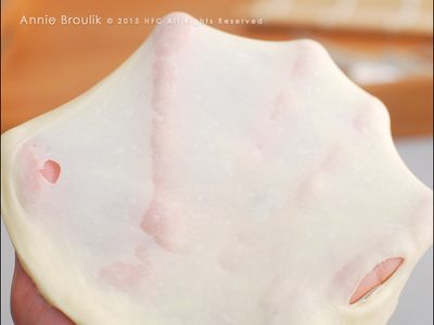參考食譜 : 五分鐘手揉麵團--"完全擴展階段"薄膜