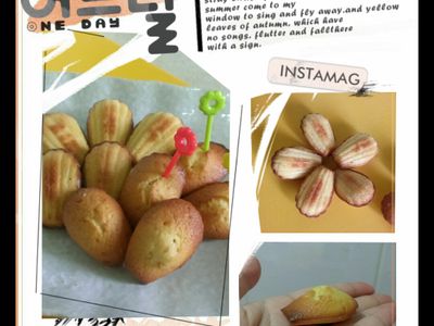 參考食譜 : 蜂蜜貝殼瑪德蓮