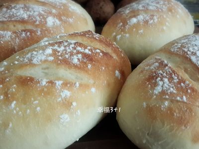 參考食譜 : 法國長棍麵包(105T 麵包機)