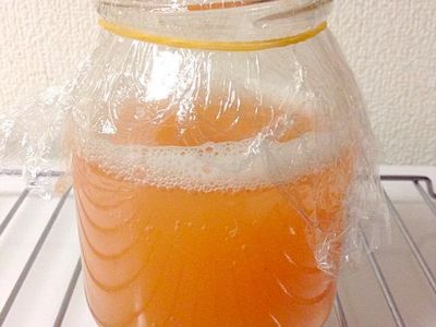 天然草莓酵母製作