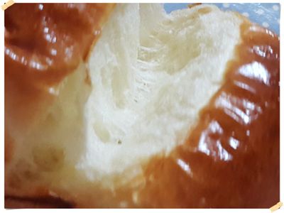 參考食譜 : 雞蛋鮮奶山形吐司(中種法)