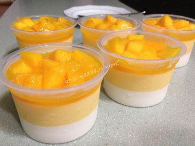 參考食譜 : 三色芒果香草奶酪