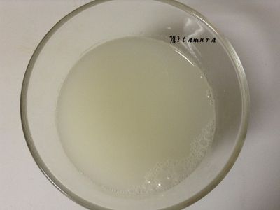 梅子酵母液、元種及老麵製作