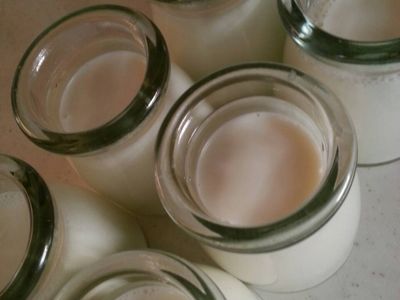 參考食譜 : 奶酪