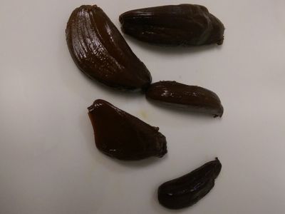 かにの黑蒜頭(black garlic)