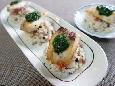 寵物鮮食-白醬時蔬豬肉燉飯佐嫩煎魚排