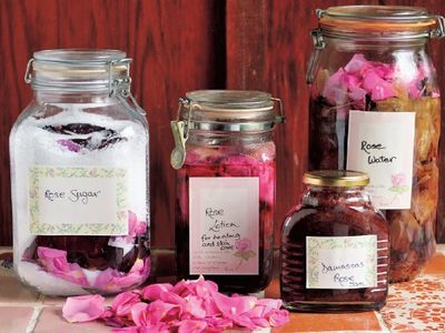 玫瑰果多C糖漿《芳療香草．慢生活》