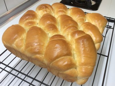 參考食譜 : 老麵奶香麵包