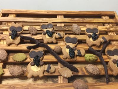 參考食譜 : 森林小沅熊手工餅乾#國際牌蒸烤爐