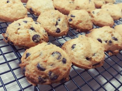 參考食譜 : 巧克力豆餅乾